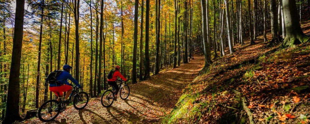 Mindfulness and Mountain Biking